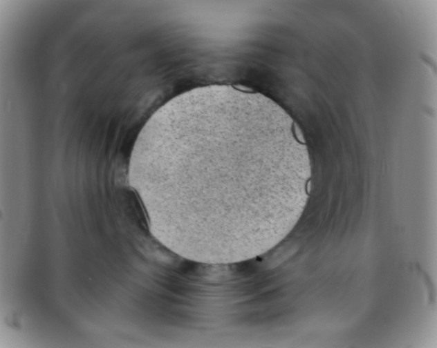 X0000097500384200803142025