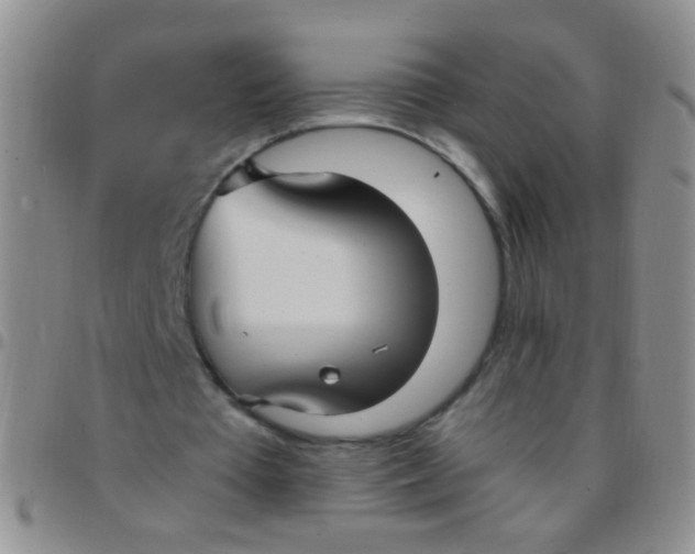 X0000097500385200803142024