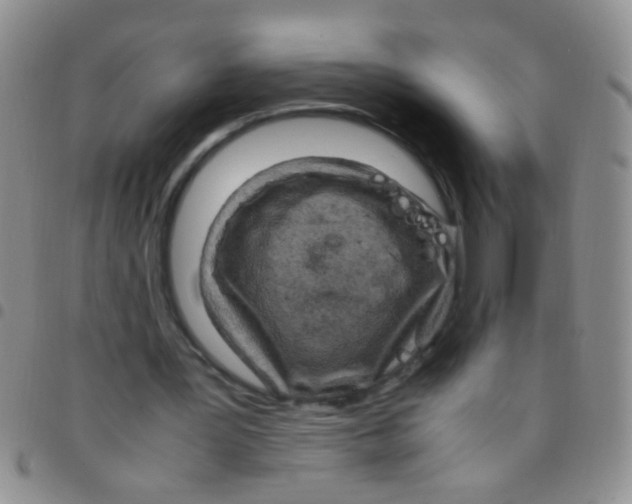 X0000097500387200803142024