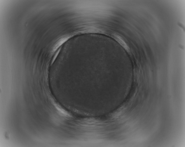 X0000097500389200803142024