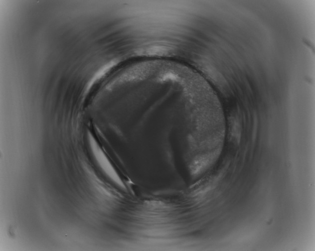 X0000097500392200803142024