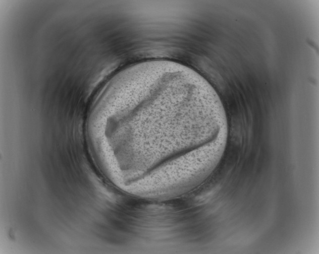 X0000097500394200803142024