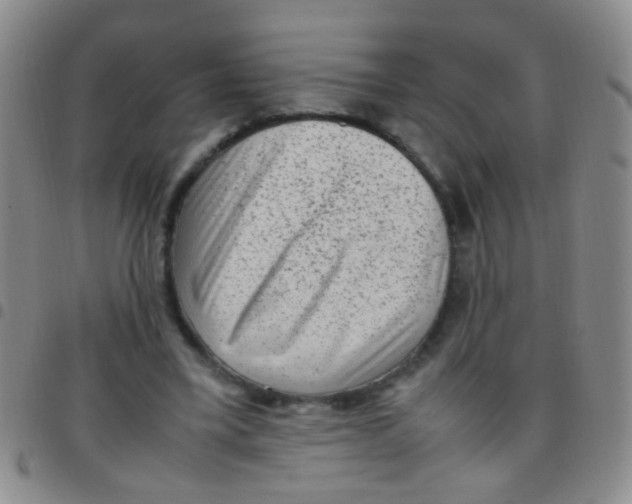 X0000097500395200803142024