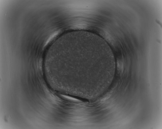 X0000097500396200803142024