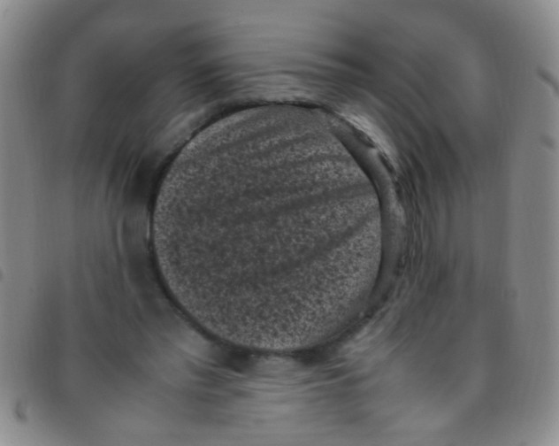 X0000097500397200803142024