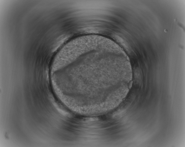 X0000097500398200803142024