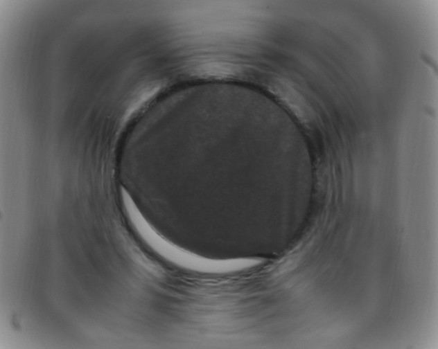 X0000097500399200803142024