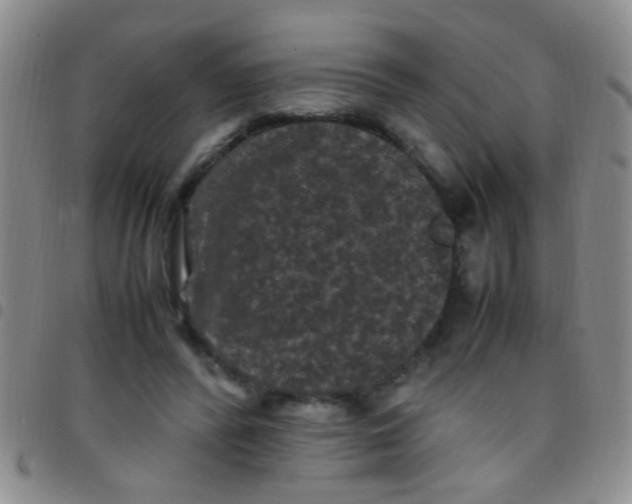 X0000097500400200803142024