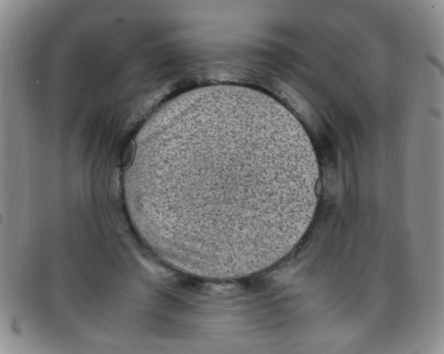 X0000097500401200803142024