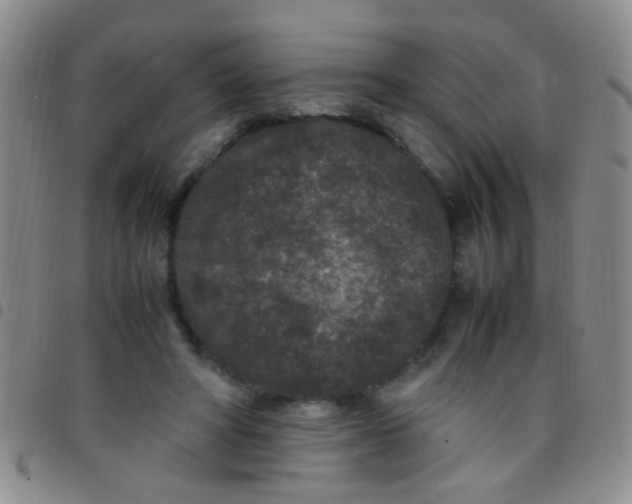 X0000097500402200803142024