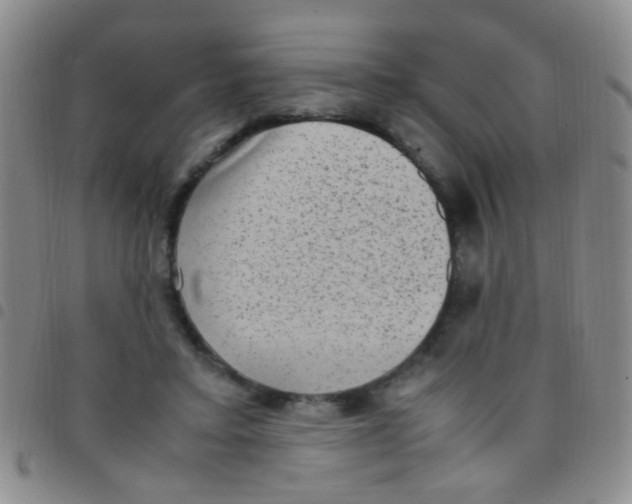 X0000097500403200803142024