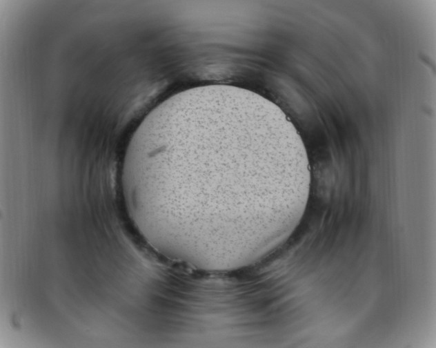 X0000097500404200803142024