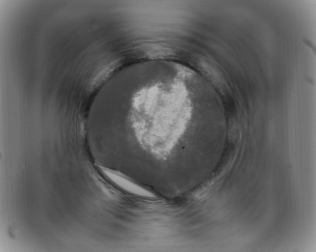 X0000097500405200803142024