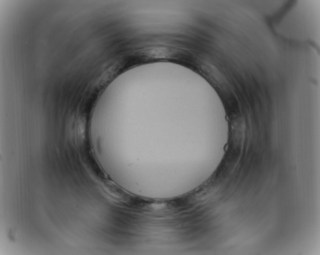 X0000097500406200803142024