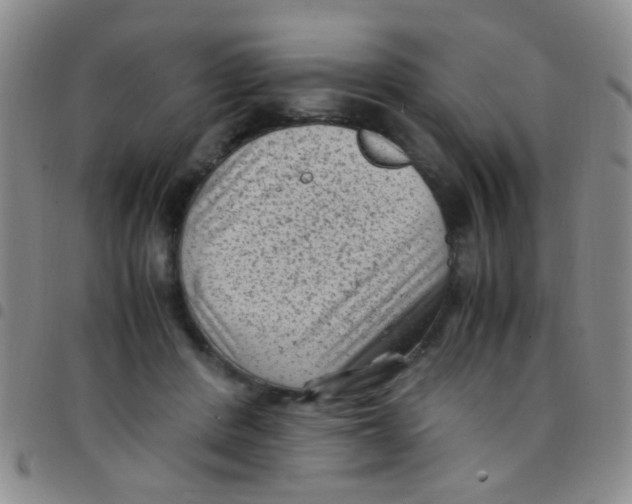 X0000097500408200803142024