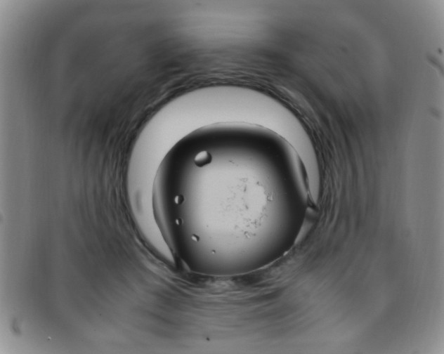 X0000097500409200803142024