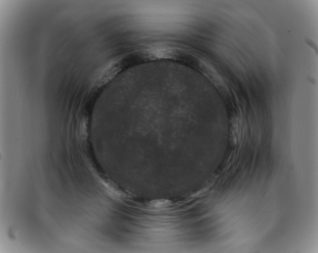 X0000097500410200803142024