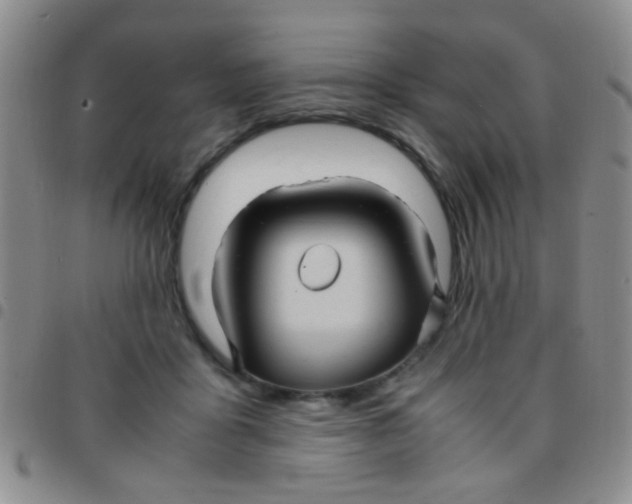 X0000097500411200803142024