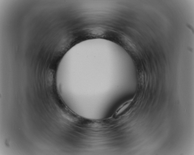 X0000097500412200803142024