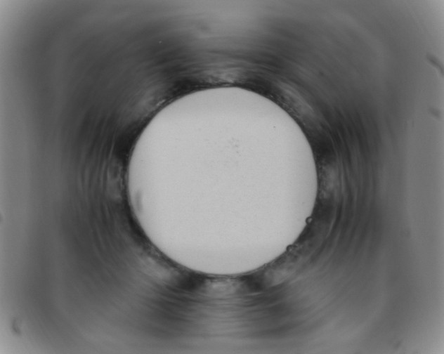 X0000097500414200803142024