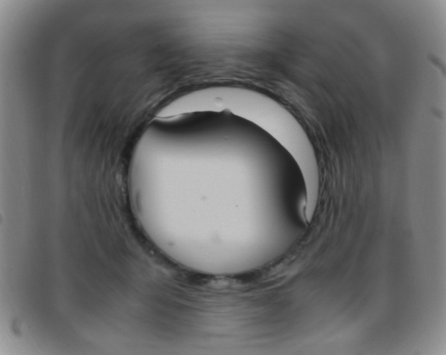 X0000097500415200803142024