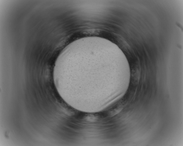 X0000097500416200803142024