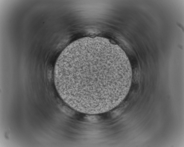 X0000097500417200803142024