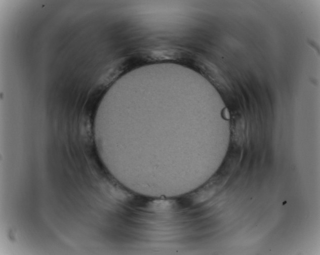 X0000097500418200803142024