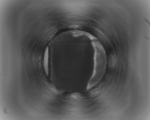 X0000097500420200803142024