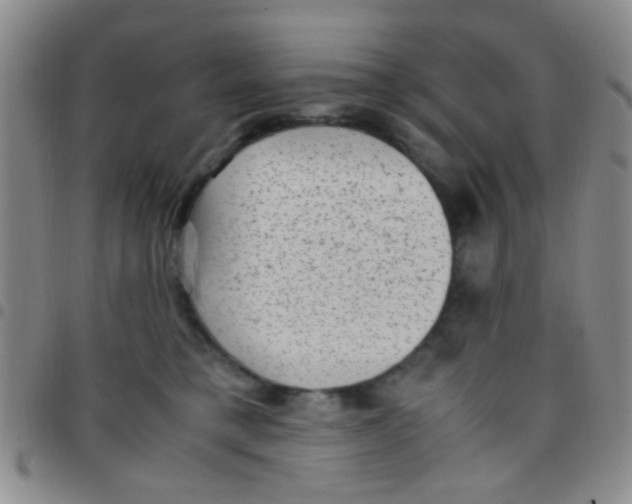 X0000097500421200803142024