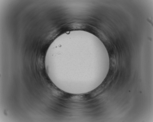 X0000097500422200803142024