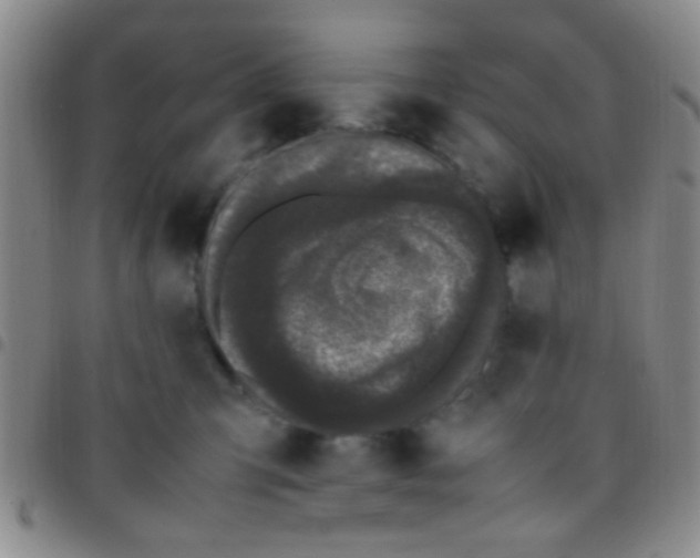 X0000097500423200803142024