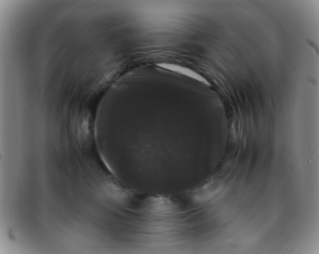 X0000097500424200803142024