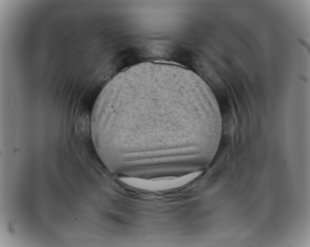 X0000097500425200803142024