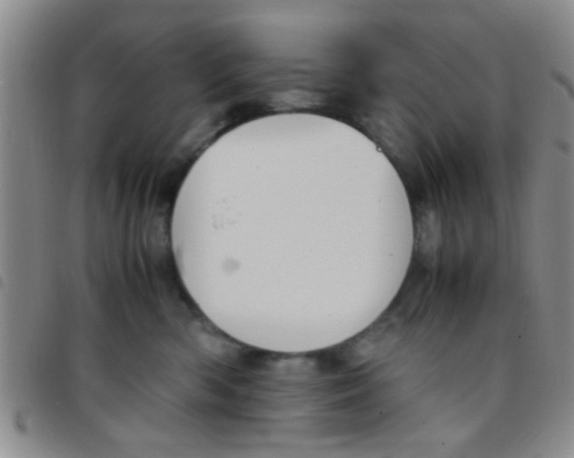 X0000097500426200803142023