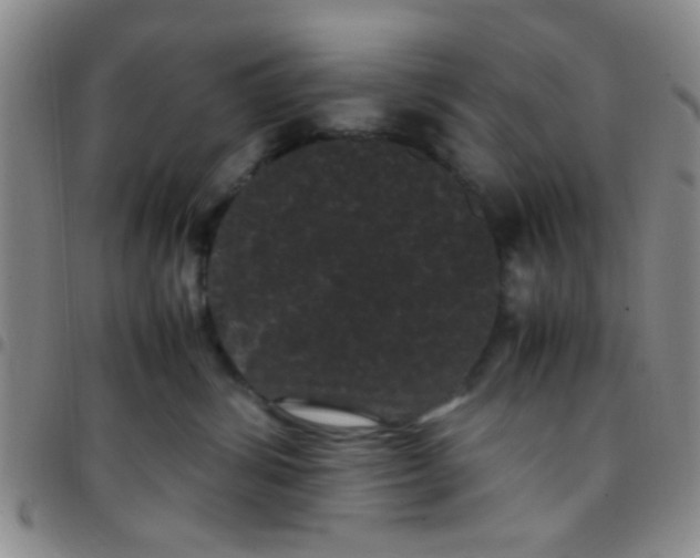 X0000097500428200803142023