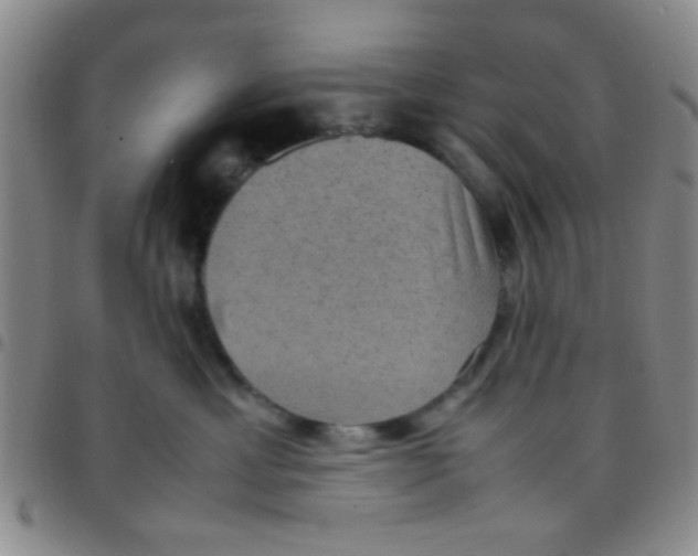 X0000097500429200803142023