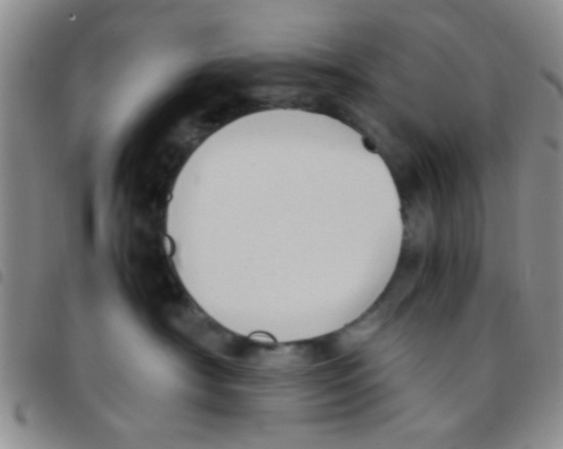 X0000097500430200803142023