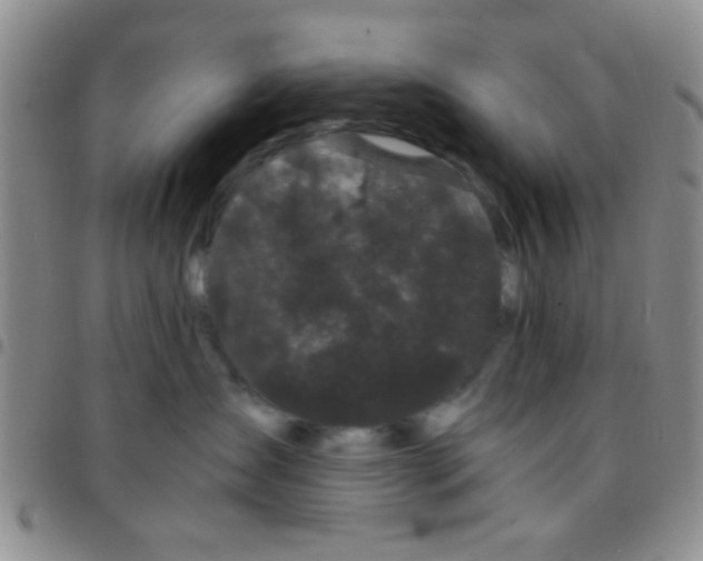 X0000097500431200803142023