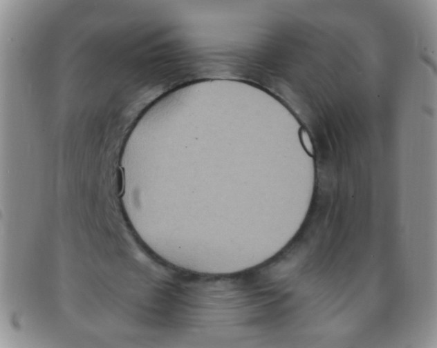 X0000097500433200803142023