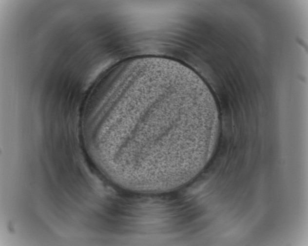 X0000097500434200803142023