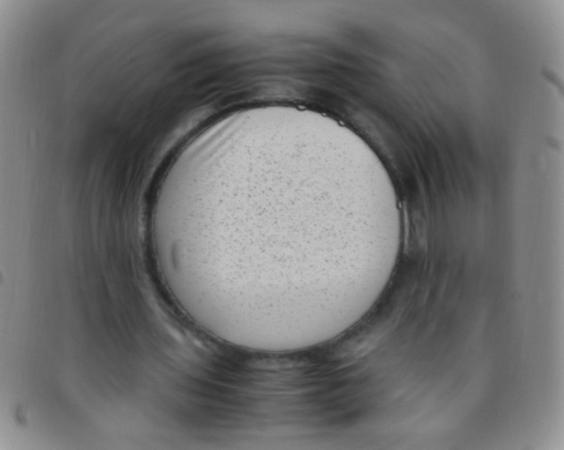 X0000097500435200803142023