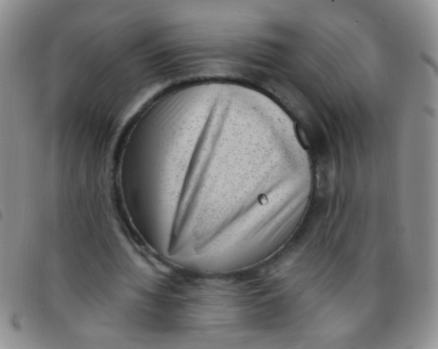 X0000097500436200803142023