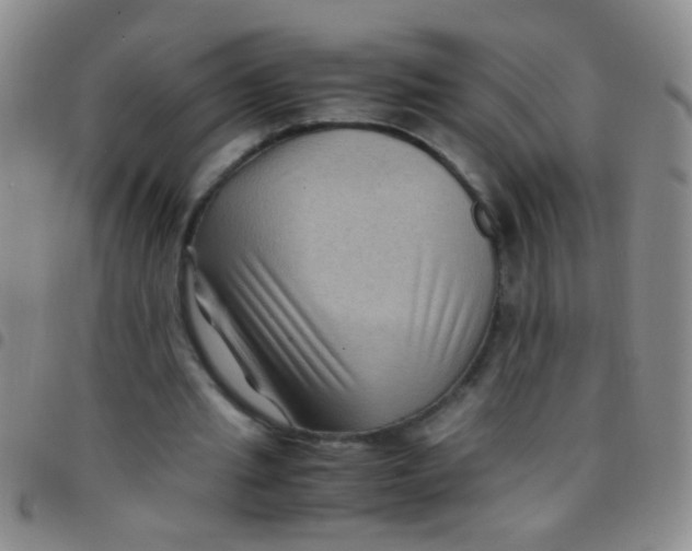 X0000097500437200803142023