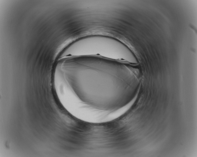 X0000097500438200803142023