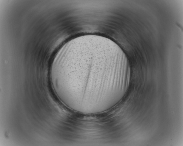 X0000097500440200803142023