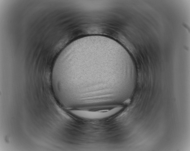 X0000097500441200803142023