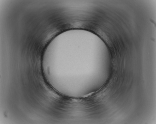 X0000097500442200803142023