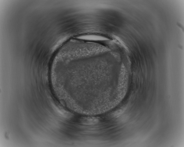 X0000097500443200803142023