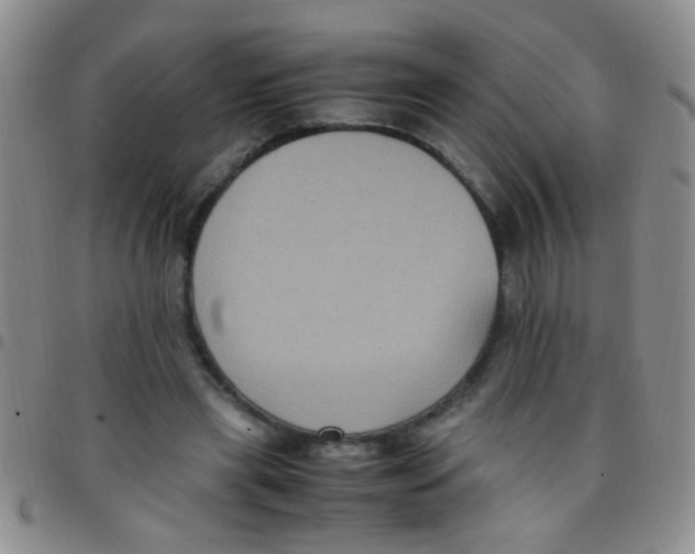 X0000097500445200803142023